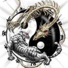 Sakongsa Salakau Techno poem