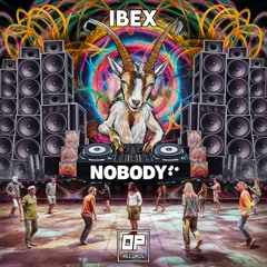 Ibex - Ravers Reflections