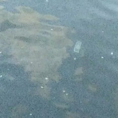 Under the water