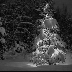 It's only Christmas (Cover)