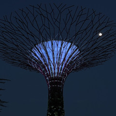 年轻不懂爱(粤语）