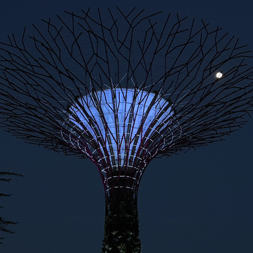 年轻不懂爱(粤语）