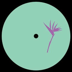 Delaj - Lost EP with Guy From Downstairs remix // PRP002