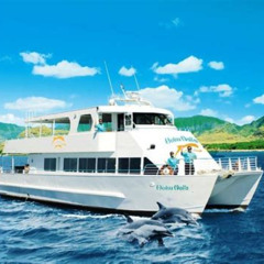 Review Special Price Paradise Waikiki Sunset Cruise + Live Dj + Swimming