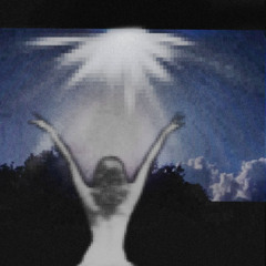 Fallen Halos