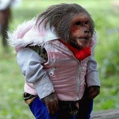 Thicc Nicc & Yung Ziplock - Space Coupe (Prod. LCS)