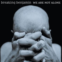 Breaking Benjamin - We Are Not Alone (Instrumental)