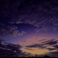 Dark Paradise (Free Download)