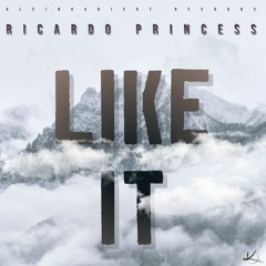 Ricardo Princess - Fall (Original Mix) Free Download