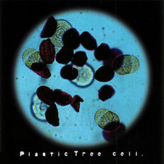 cell.