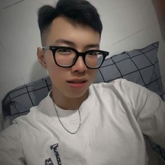 NST VIỆT HOA - BAOPIN