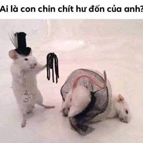 chờ em dưới góc phố