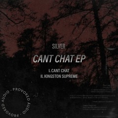 Silver - Can't Chat (Free Download)