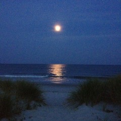seaside