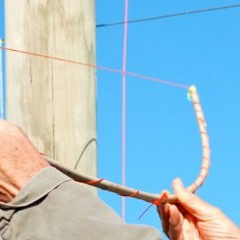 [disquiet0431] Solitary Ensembles x 3 - "fripping over" (will soderberg & mdh & TLR)