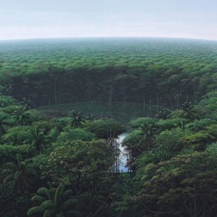 summer dream revival