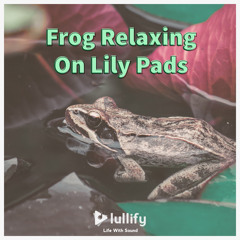 Frog Pond — Relaxing Nature Soundscape