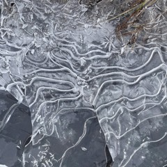 surface