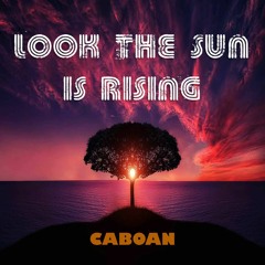 SINGLE - Look The Sun Is Rising (snippet)