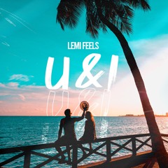 U & I - Lemi Feels