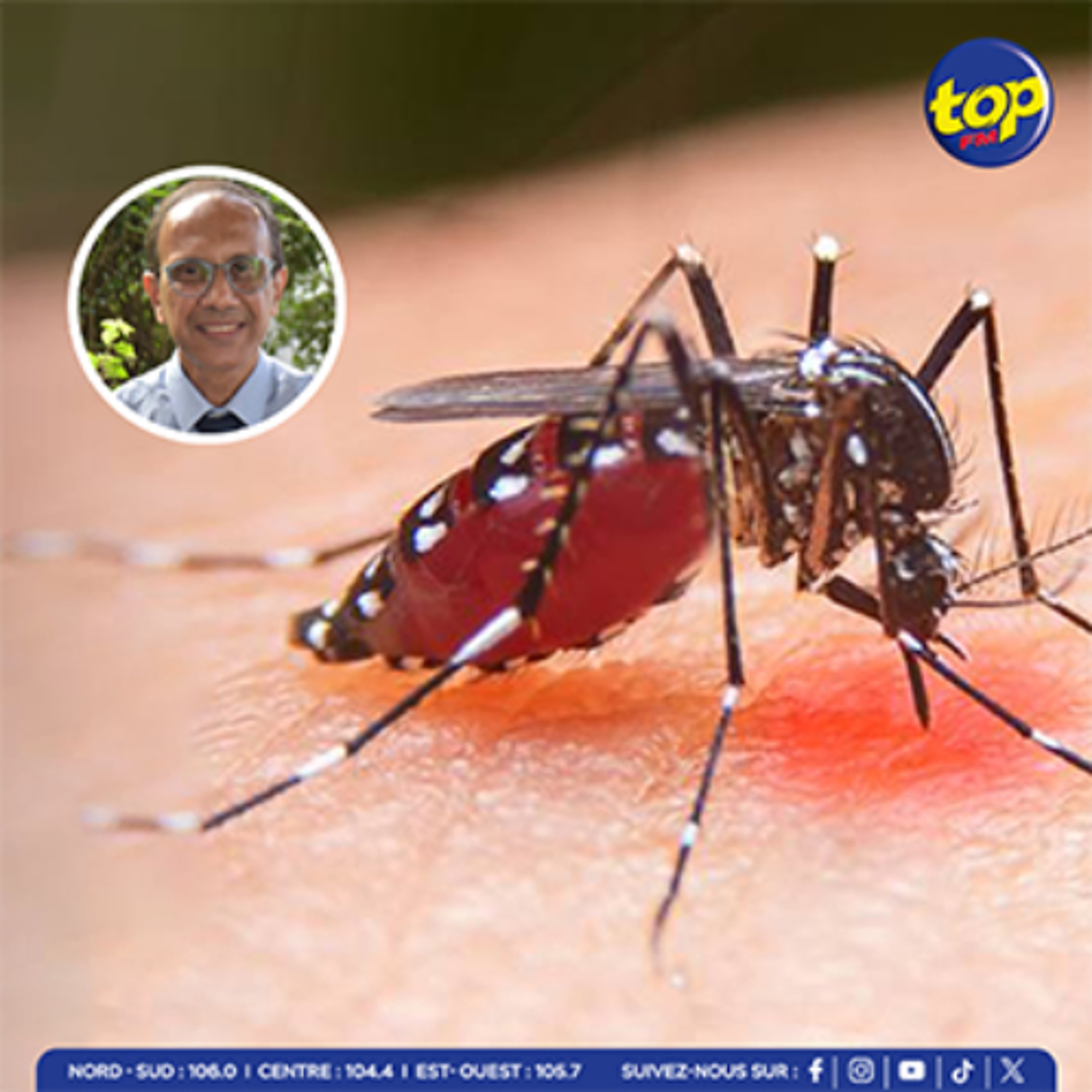 Chikungunya : deux nouveaux cas confirmés, dont un importé