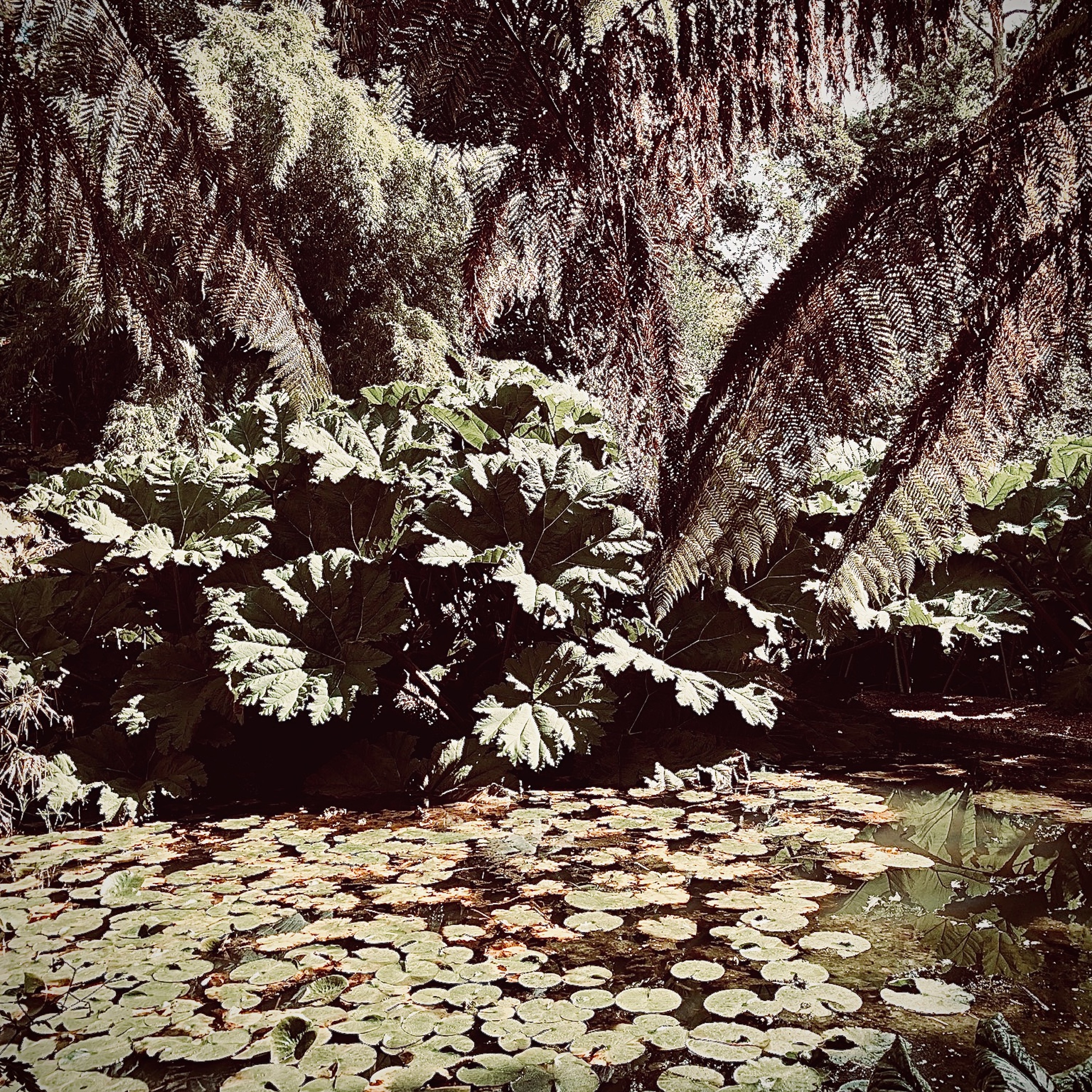 Tropical Techno Podcast