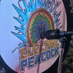 Horsin' Around With My Heart