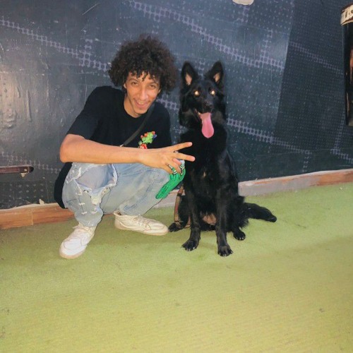 عشري باع يا صاحبي لما جاع ( قلبي القتيل شايل كتير ) مجدي الزهار☝🏻