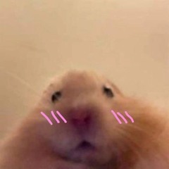 Jazmin Bean - Bitch With The Gun - Slowed And Reverbed.mp3