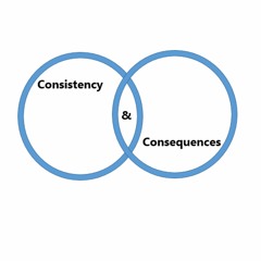 Consistency and Consequences (Singer B. 1946)