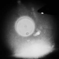 ZIH SIU - DJ Set - LEAN