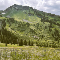 Never (the space between)