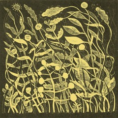 Thea HD w/ Kirk Barley live at Cafe Oto  090325