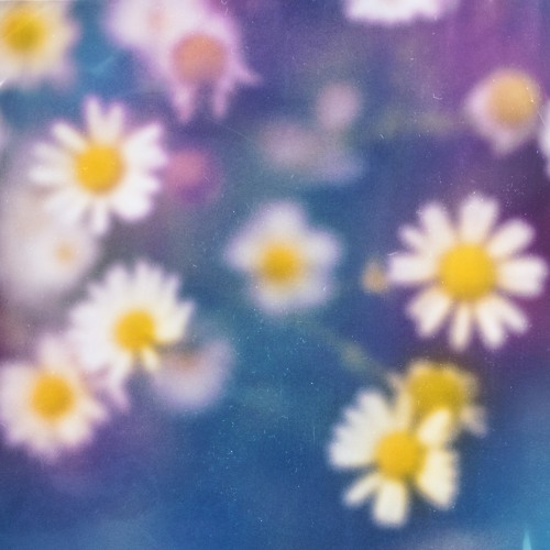 Lane Beckstrom "Parachute"