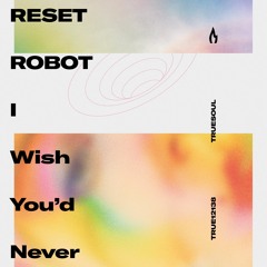 Reset Robot - I Wish You'd Never (Dub) - Truesoul - TRUE12138