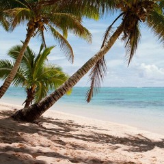 Study for Hours - Tropical E-Dance