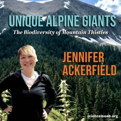 Unique Alpine Giants