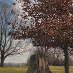 i forgot about soundcloud