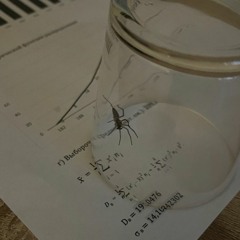 Отсутствие