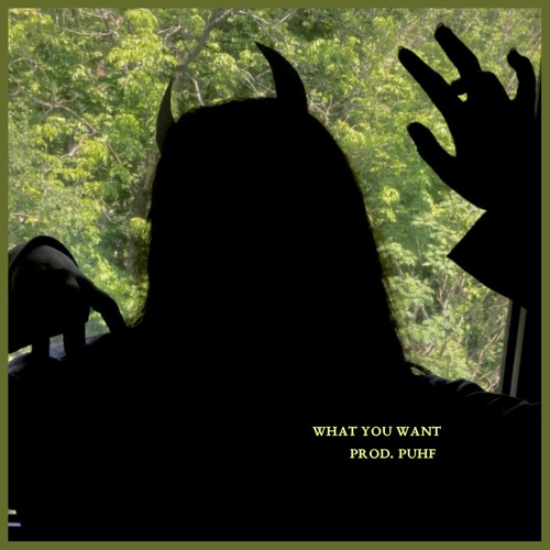 what you want (prod. puhf)