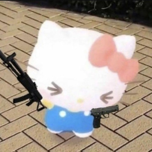 Hello This Is Kitty!