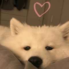 Pondering - Daydream(ฝันกลางวัน)