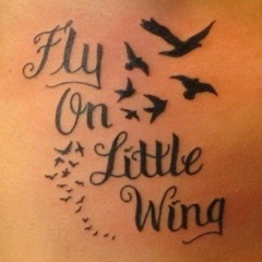fly on little wing