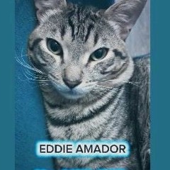 Eddie Amador LIVE @ GATO U.S.A 01NOV2025 .mp3