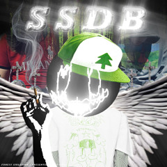 BIRDZ & DRAXULA - DARKVET FT. SELLASOULS (Prod. ICYSOUL)