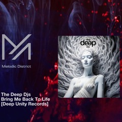premiere: The Deep Djs - Bring Me Back To Life [Deep Unity Records]