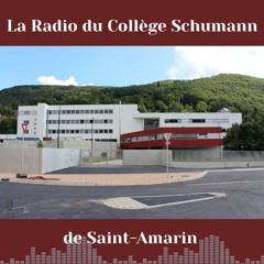 RCS : la Radio Collège Schumann - Les actualités du collège #2