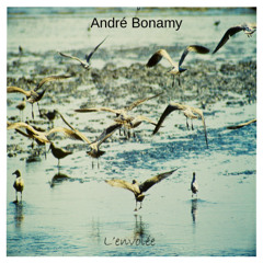 cd l'envolée1'12 (1)