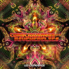 Consciousness and psychedelics (Original Mix)