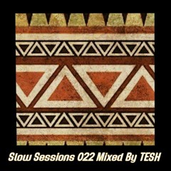 Slow Sessions 022 Mixed By TESH (ZA)